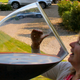 woman drinking from enormous wine glass